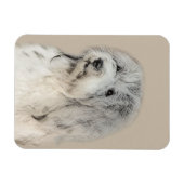 Havanese (Gold Sable) Malerei - Original Hunde Kun Magnet (Horizontal)