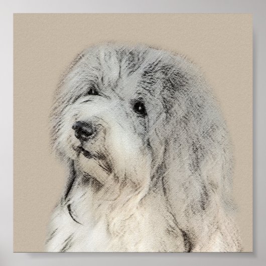 Havanese (Gold Sable) Malerei - Original Hunde Kun Poster (Vorne)