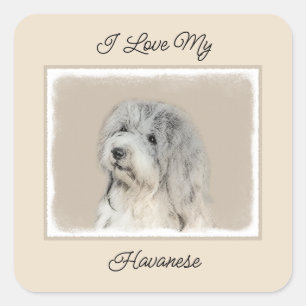 Havanese (Gold Sable) Malerei - Original Hunde Kun Quadratischer Aufkleber