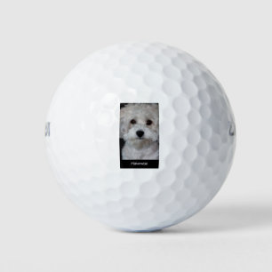 Havanese Golfball