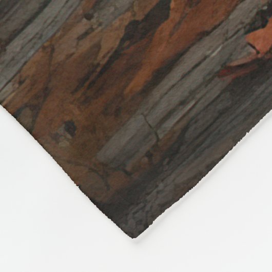 Havanese Halloween Beängstigend Fleecedecke (Ecke)