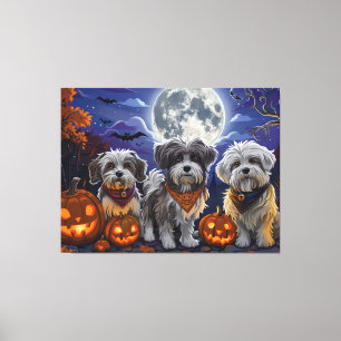 Havanese Halloween Spooky Leinwanddruck