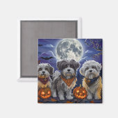 Havanese Halloween Spooky Magnet (Vorderseite/Rückseite)