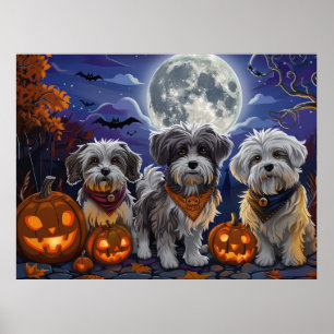 Havanese Halloween Spooky Poster