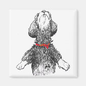Havanese Happiness - Tanzjung! Magnet (Vorne)