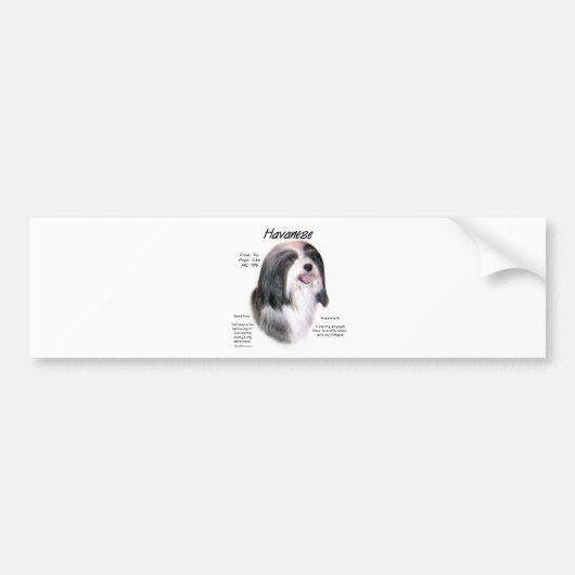Havanese History Design Autoaufkleber (Vorne)