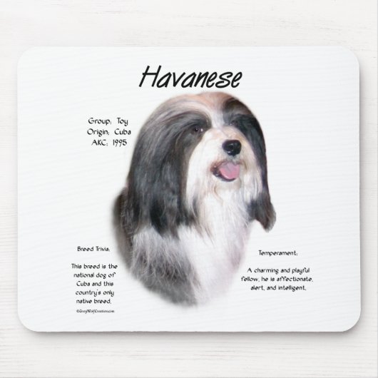 Havanese History Design Mousepad (Vorne)