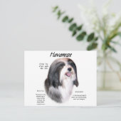 Havanese History Design Postkarte (Stehend Vorderseite)