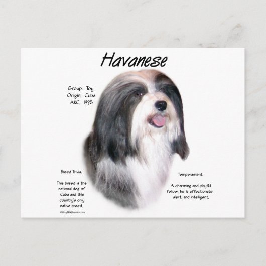 Havanese History Design Postkarte (Vorderseite)