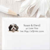Havanese Hund Breed Pet Lovers (Insitu)