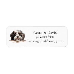 Havanese Hund Breed Pet Lovers