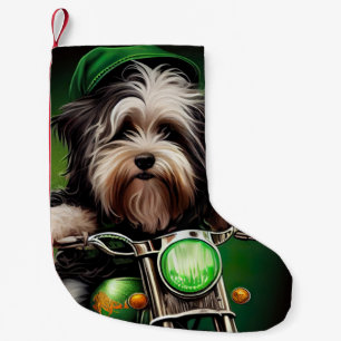 Havanese Hund fährt Fahrrad am St. Patrick's Day Kleiner Weihnachtsstrumpf