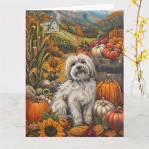Havanese Hund Herbsternte Erntedank Karte