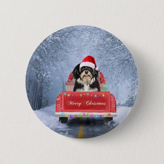 Havanese Hund im Schnee sitzend im Weihnachtswagen Button (Vorderseite)