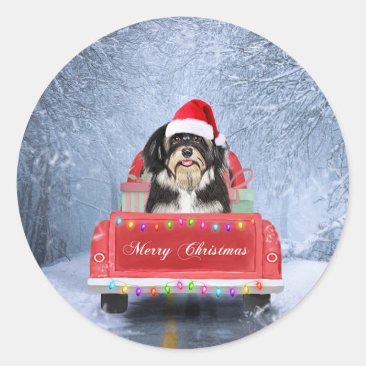 Havanese Hund im Schnee sitzend im Weihnachtswagen Runder Aufkleber (Vorderseite)