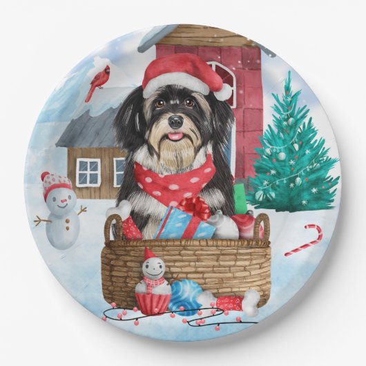 Havanese Hund im Schnee Weihnachtshaus Pappteller (Vorderseite)