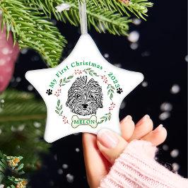 Havanese Hund Personalisiert Hand Zeichnend Keramik Ornament