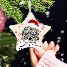 Havanese Hund Personalisiert Hand Zeichnend Keramik Ornament