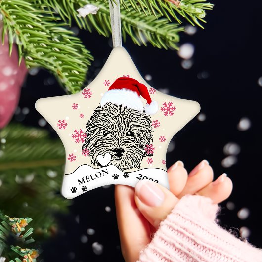 Havanese Hund Personalisiert Hand Zeichnend Keramik Ornament