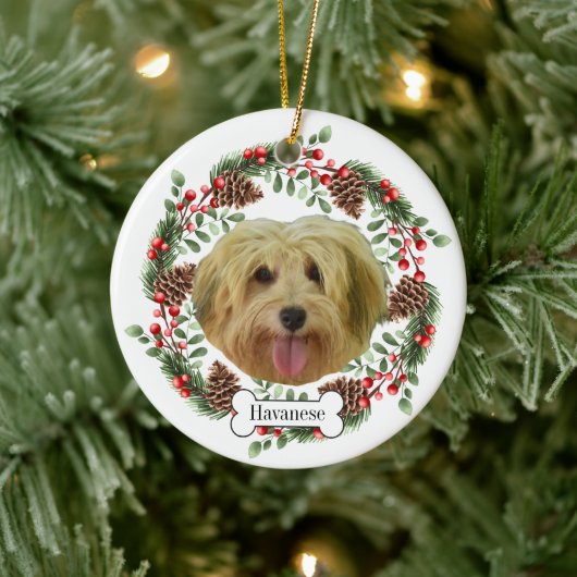 Havanese Hund Personalisiert Keramik Ornament (Baum)