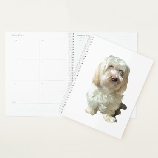 Havanese Hund Planer (Anzeige)