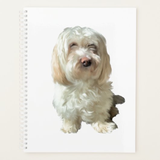 Havanese Hund Planer (Vorderseite)
