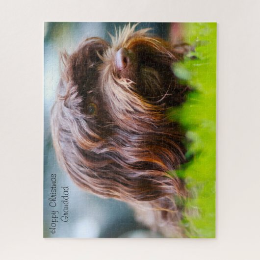 Havanese Hund. Puzzle (Vertikal)