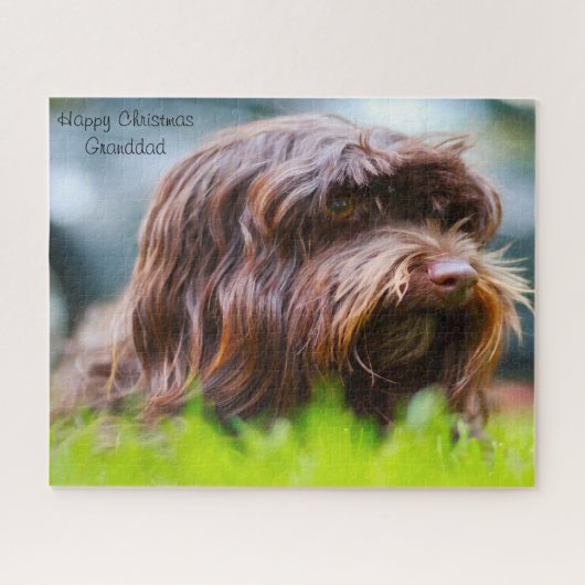 Havanese Hund. Puzzle (Horizontal)