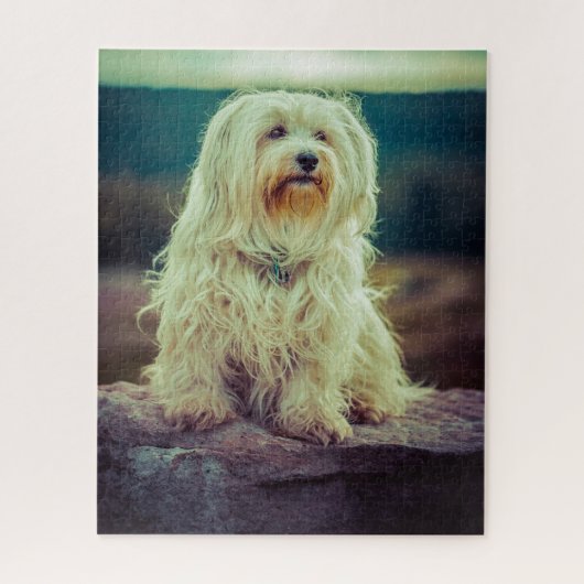 Havanese Hund. Puzzle (Vertikal)