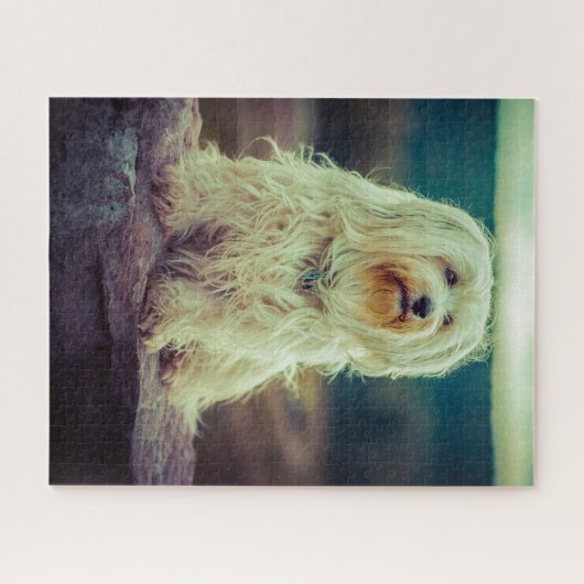 Havanese Hund. Puzzle (Horizontal)