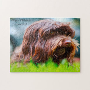 Havanese Hund. Puzzle