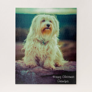 Havanese Hund. Puzzle