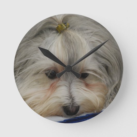Havanese Hund Runde Wanduhr (Vorderseite)