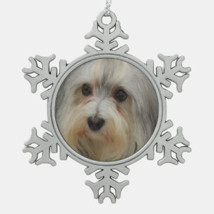 Havanese Hund Schneeflocken Zinn-Ornament
