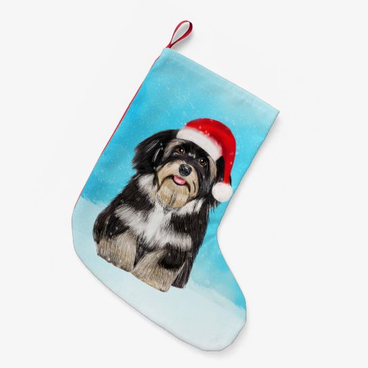 Havanese Hund sitzt am Weihnachtshut am Strand Kleiner Weihnachtsstrumpf (Vorderansicht (hängend))