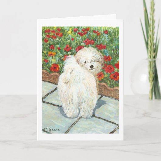 Havanese Hund und Poppies Art Feiertagskarte (Vorderseite)