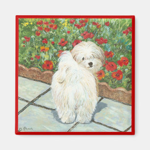 Havanese Hund und Poppies Art Print Magnet