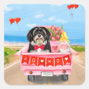 Havanese Hund Valentinstag LKW Quadratischer Aufkleber