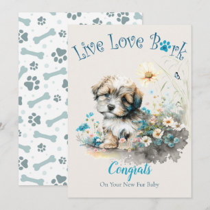 Havanese Hunde Adoption, Gotcha Tag Karte
