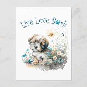 Havanese Hundefrau Blumen Postkarte