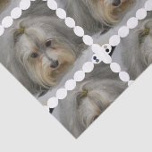 Havanese Hundezucht Seidenpapier (Ausschnitt)