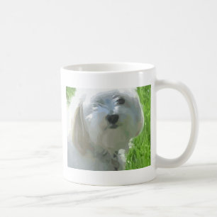 Havanese Kaffeetasse