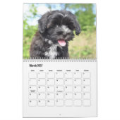 Havanese Kalender (Mär 2027)