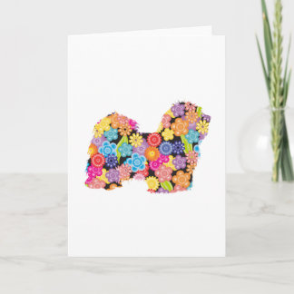 Havanese Karte