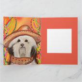 HAVANESE KARTE (Innenseite)