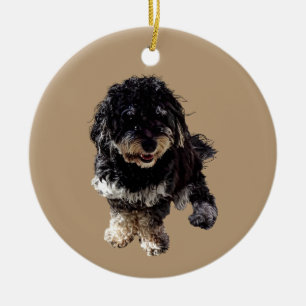 Havanese Keramik Ornament