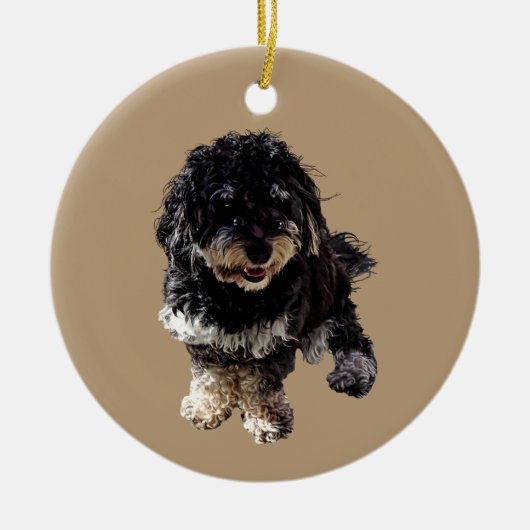 Havanese Keramik Ornament (Vorne)