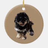 Havanese Keramik Ornament (Hinten)