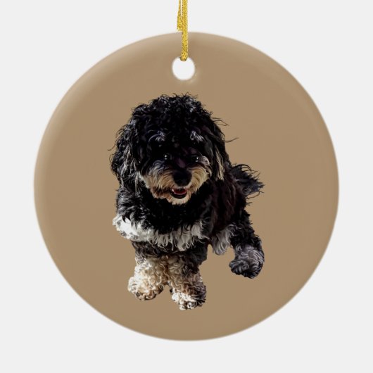 Havanese Keramik Ornament (Hinten)