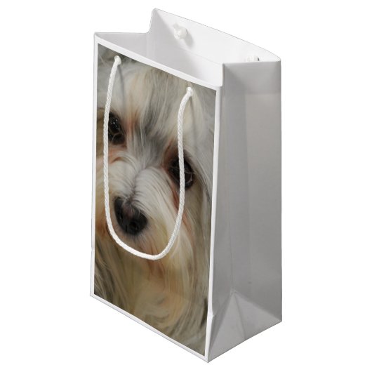 Havanese Kleine Geschenktüte (Vorderseite Schrägansicht)